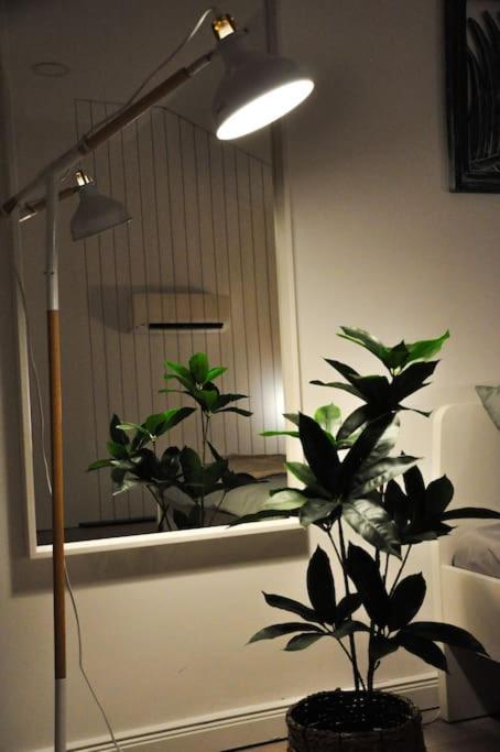 Ultracentral Modern Apartment Târgu-Mureş Exteriör bild